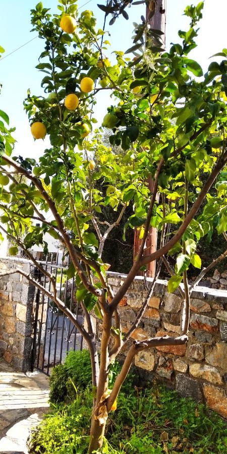 Traditional House In Elounda エクステリア 写真